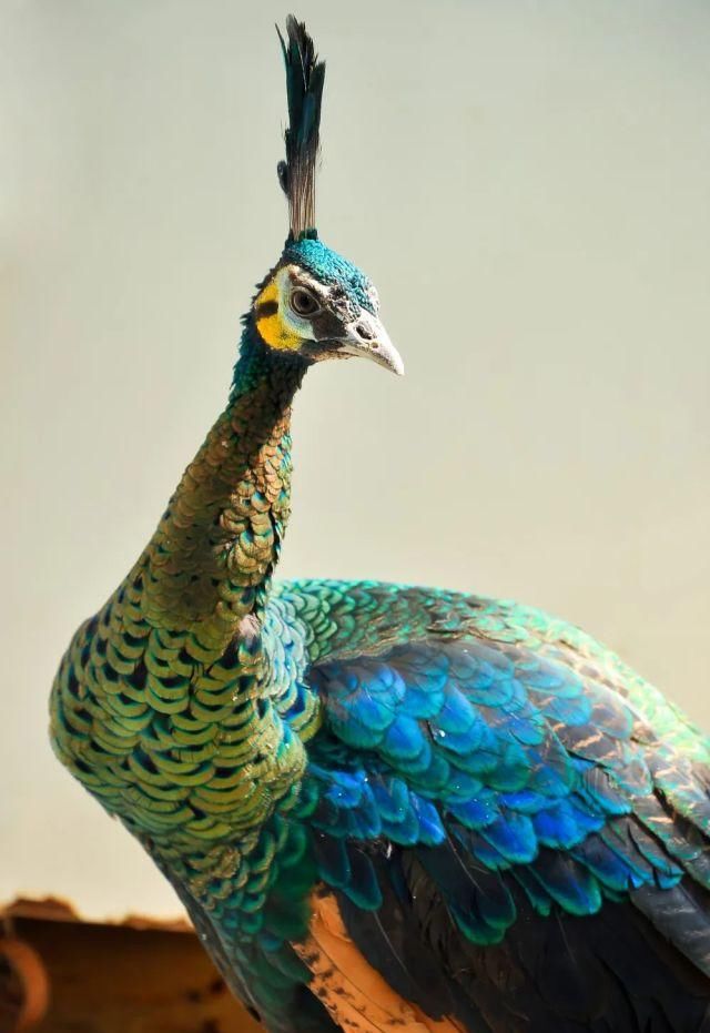 生长|云之南，一个生生不息、万物生长的地方