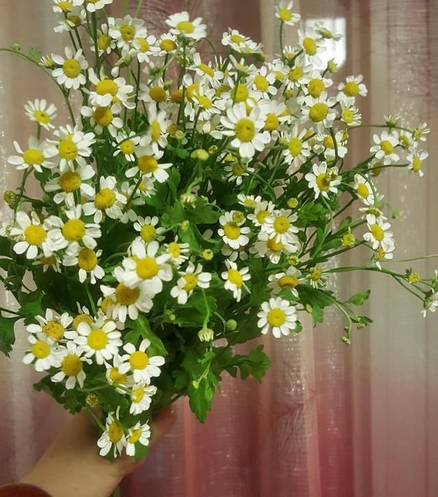  立秋|立秋，即将进入3个月的秋季养生时节，你准备好了吗？