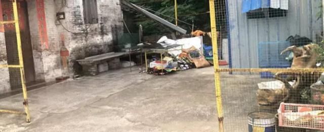  发生|毫无人性！老人被“狗绳绊倒”重摔身亡：12岁女孩冷漠逃走