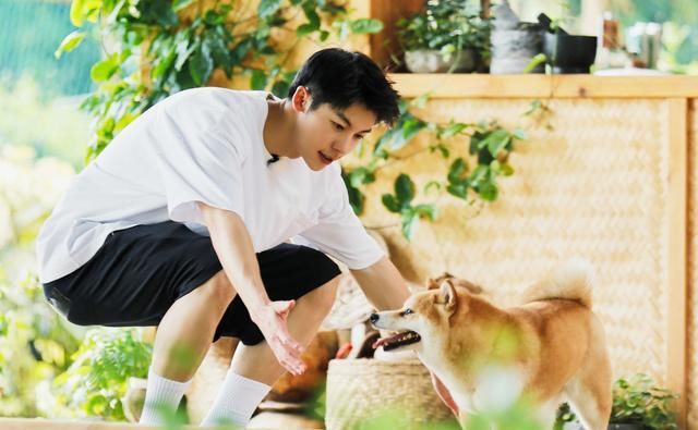  生活|《向往的生活》开局巅峰，结局烂尾，大华缺席是“原罪”？