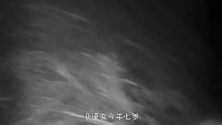 轻生|女孩跳河欲轻生,民警:我陪你一起死!