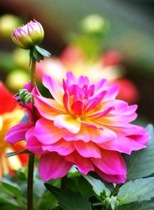 励志|经典走心的励志句子,为了与阳光同行,我笑对忧伤