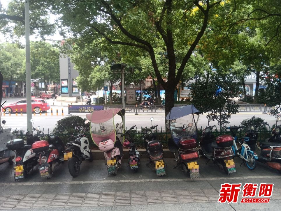 强迫症|你文明·我点赞|“强迫症”福利 衡阳市民有序停放车辆