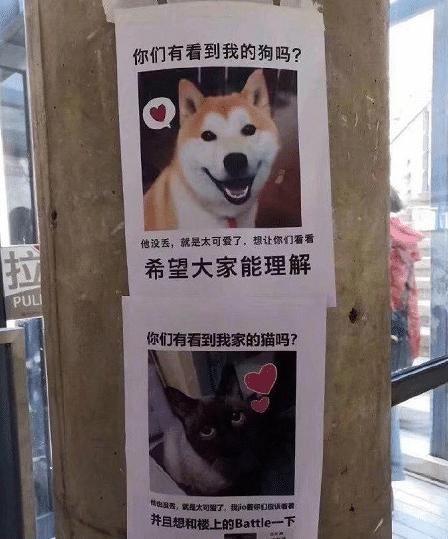  看起来|“有些女生外表看起来光鲜亮丽， 其实裤袜已经掉到大腿了，哈哈哈哈哈！”