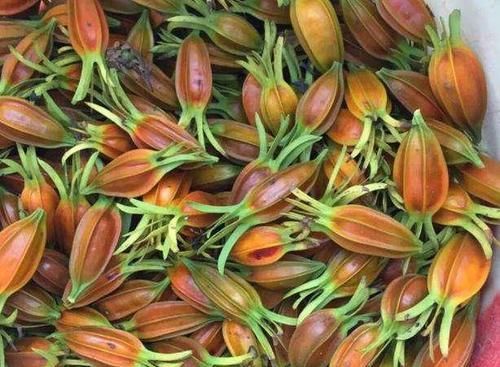 子宫|女人常吃此物,保养卵巢,子宫越来越健康,远离妇科炎症