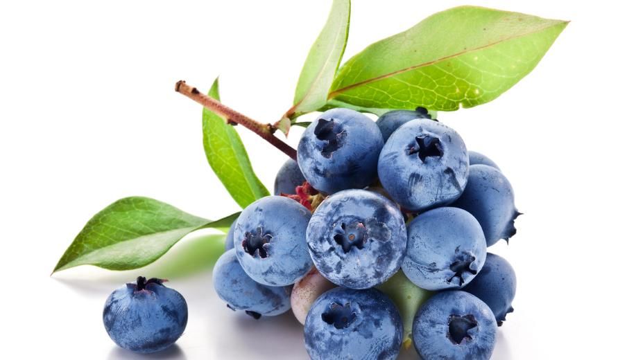 维生素A|你知道蓝莓的营养价值都有哪些吗?挑选蓝莓也是一门学门,收藏!