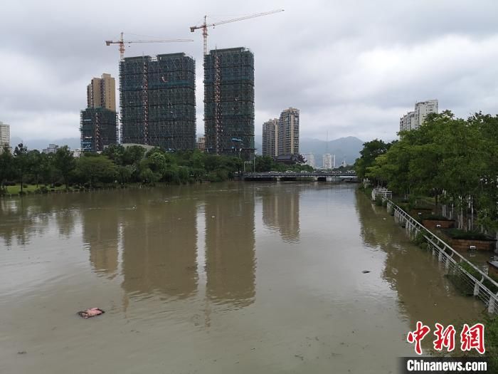 黑格|直击“黑格比”登陆地：积水过大腿 市民不同程度受灾