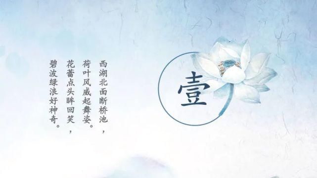  淡雅|淡雅荷花中国文化传统国学PPT模板