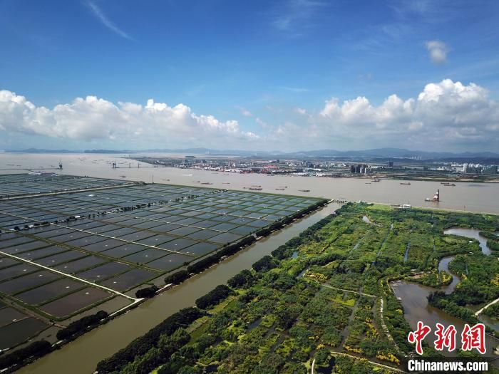 风景|水清岸绿风景美 珠三角建成绿色生态水网