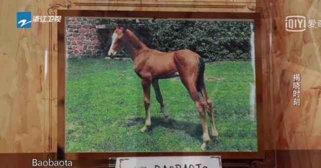  宋祖儿|软萌宋祖儿“呛声”《跑男》导演，李晨等团员期待祖儿成常驻！