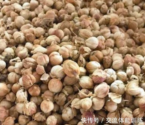  用法|做菜总是不香搞懂这些常见香料的用法，厨艺立马上升一个档次