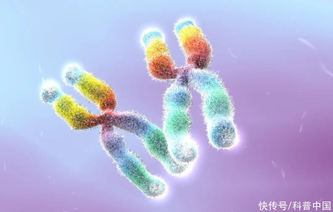 实现“永生不死”，她真的做到了！然而……2023
