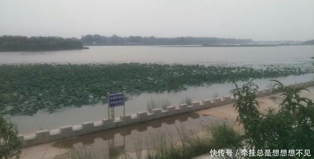 河南省|河南省民权县任庄国家湿地公园快来看,这里的千亩荷花开了