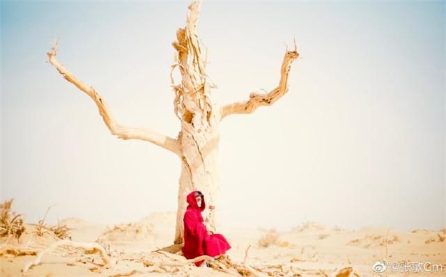 赵敏|“最美赵敏”张敏晒秋日美照，身穿红衣美丽依旧