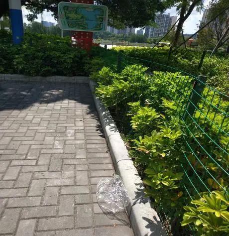 理应|【创文进行时】不回避,不遮丑!这些不文明现象理应整改