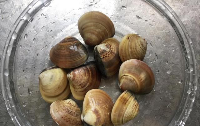  鲜汤|鸡蛋羹不够味？再加1种食材，鲜上加鲜，完美搭档更补钙