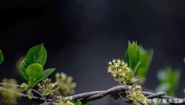  祖先|清明为什么要祭祖？这是我听过最好的答案