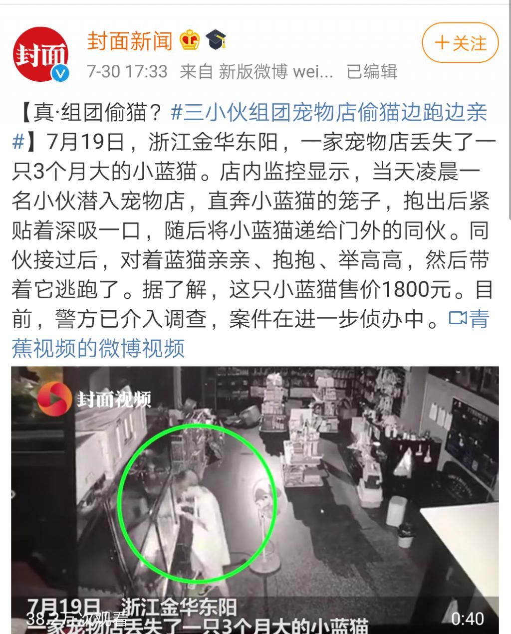  评选|年度沙雕小偷评选，感觉智商受到了侮辱...