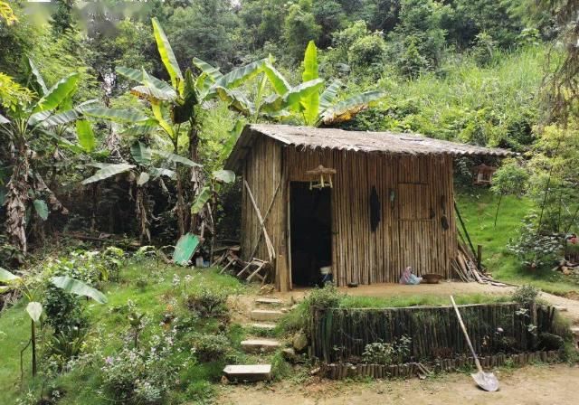  时间|“木虫”钻进互联网