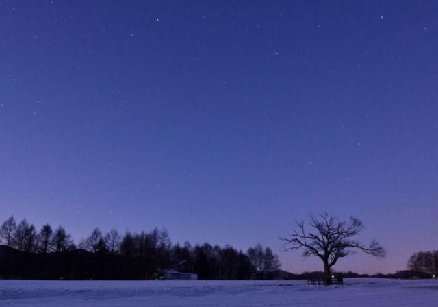  鼎盛|未来两个月吉星照耀，3生肖财运鼎盛，财源大开，迎来翻身机会！
