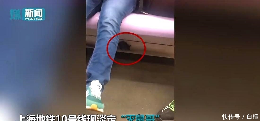  淡定|淡定！地铁小哥一脚踩住狂奔老鼠 ，瞅一眼继续玩手机