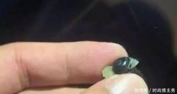 分钟|情侣酒店床上40分钟,却有4万人围观?一不小心就成直播现场