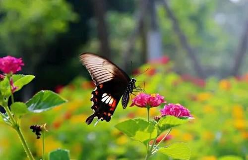  核心|评高级时国家核心期刊发表的文章不算数？是整治歪风邪气的时候了