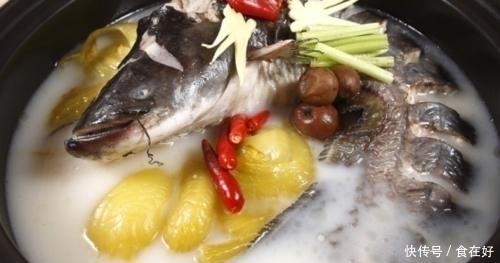 营养价值|它是被“误解”最多的鱼,一斤只要8元,营养价值不比甲鱼差