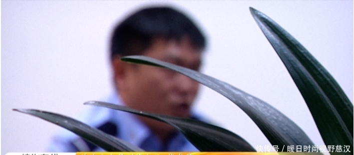  关岭公安局|关岭公安捣毁一网络诈骗设备安装窝点