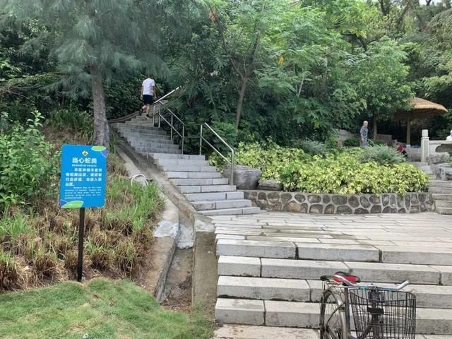  野狸岛公园|毒蛇出没？涉及珠海这个“网红”公园！官方这样说…
