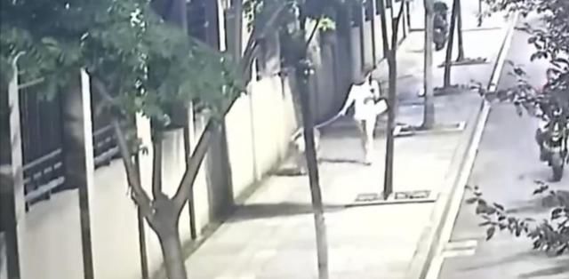 路上|女子走在路上遛狗,却突然遭遇“咸猪手”,男子得手后扬长而去