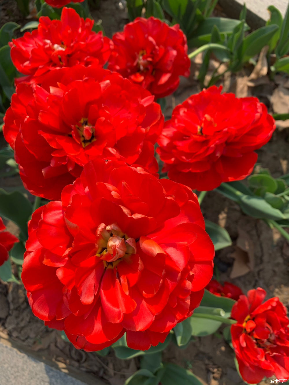  解释|【我们都过了解释的年纪】新的起点，出发吧