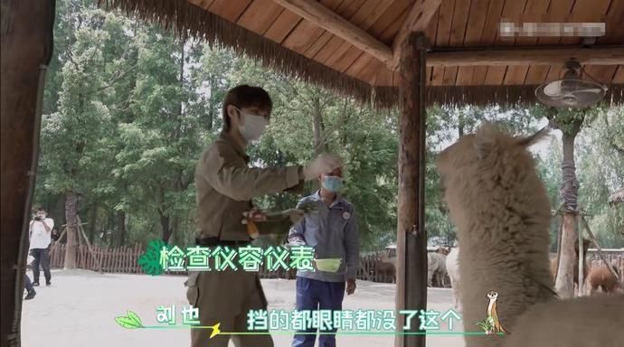  吓到|R1SE小团综：何洛洛给羊驼剪毛吓到周震南，任豪气场压制河马