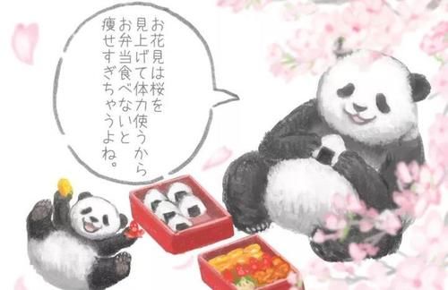 胖达|胖达在线示范独家减肥法,保证让你心安理得胖