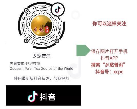  曝光|【曝光台】酒驾不停 严查不止