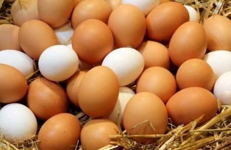 养殖户|买鸡蛋时,该挑红皮的还是白皮的?养殖户透露秘诀,这样挑才对