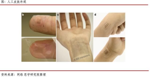  狂人|乘风破浪的科学狂人和他们的人造皮肤