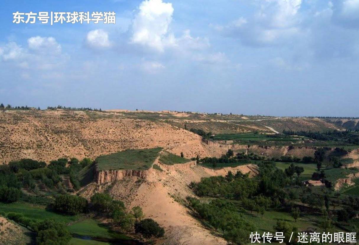 重生|朱鹮“重生”已达千余只消失近90年植物重现,是什么原因