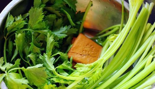  美味|简单易做的家常菜，解馋下饭，荤素搭配营养美味，家人吃得开心