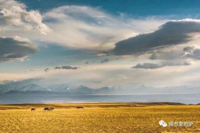  长白山|三伏暑热天，让我带你去这些只有25°的地方纳凉吧！