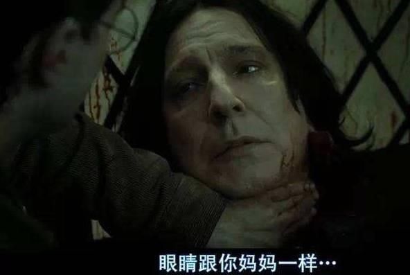  夜谈|「夜谈会」你最喜欢《哈利-波特》中的哪个角色？