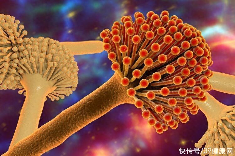 肝癌为何越来越多？提醒：1种水果或比喝酒更伤肝，别再任性妄为2023
