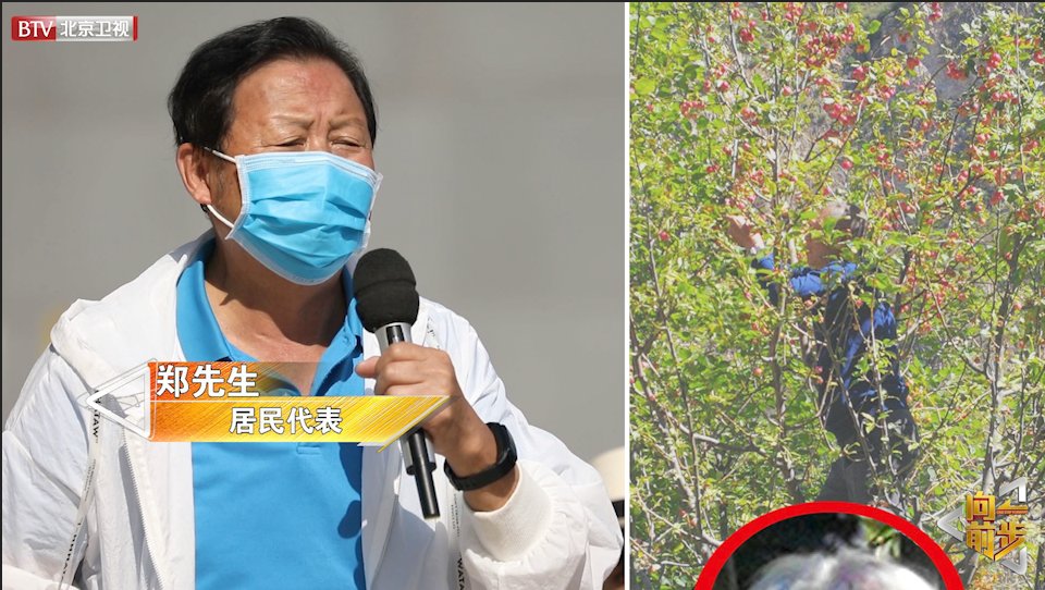 文明|《向前一步》向十一长假不文明行为“开战”拒绝以爱为名的伤害