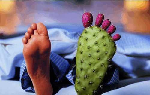 喝啤酒|尿酸高的人不能喝啤酒,那红酒白酒能喝吗,下面告诉你,别再喝错