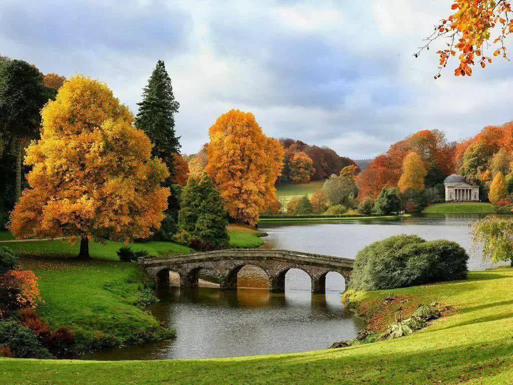  系列|花园系列 | 英式花园，自然浪漫系的优雅花园