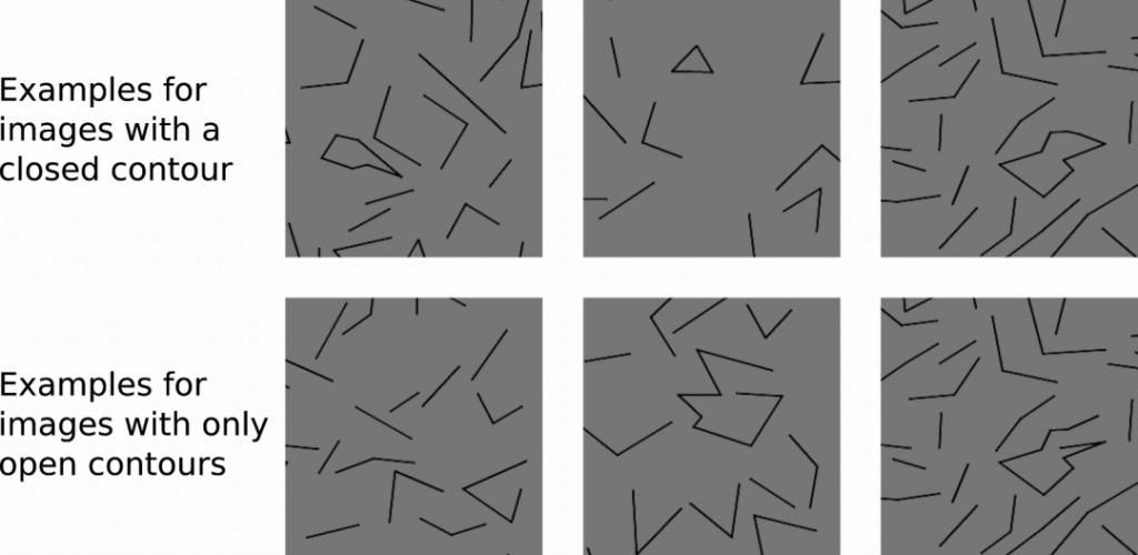  研究|人类和机器感知比较中常见的三大陷阱，你中了几条？