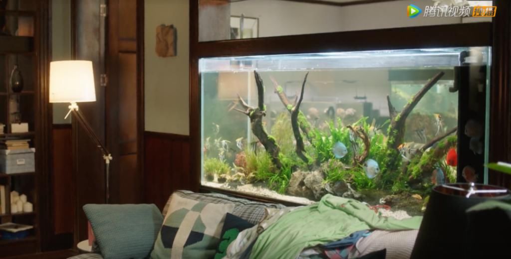  上海|盘点《三十而已》24处上海取景地，顾佳的豪宅原来在这里！