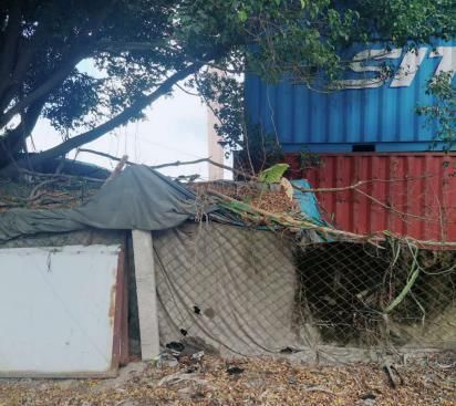 理应|【创文进行时】不回避,不遮丑!这些不文明现象理应整改