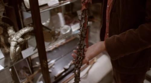  魔法|哈利波特40岁了，我才走进现实中的魔法世界