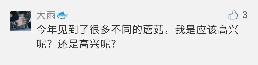 市气象局|出梅了！42天，魔都本世纪最长黄梅天结束！网友热泪盈眶，终于不用拼内裤了